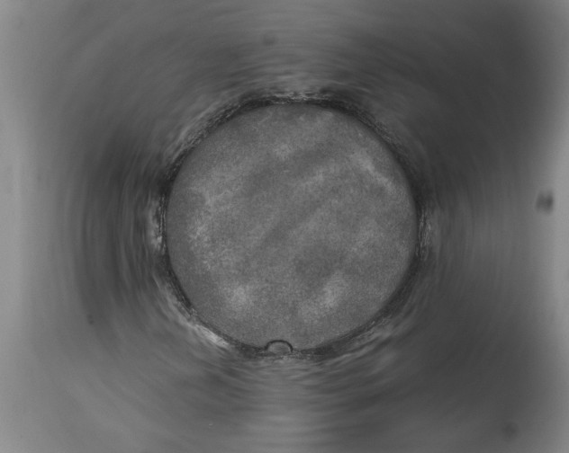 X0000114561202200911161215