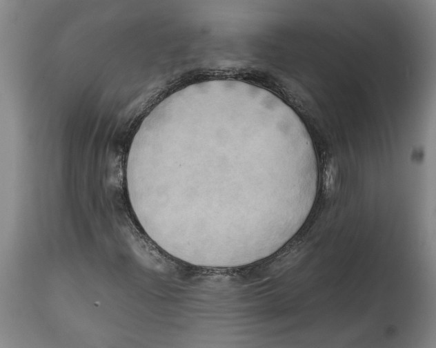 X0000114561204200911161216