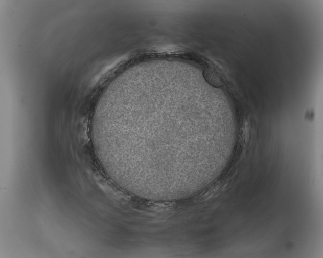 X0000114561205200911161216