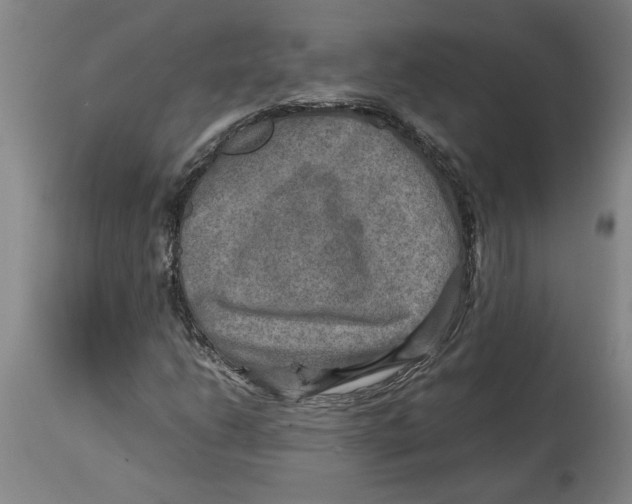 X0000114561206200911161216