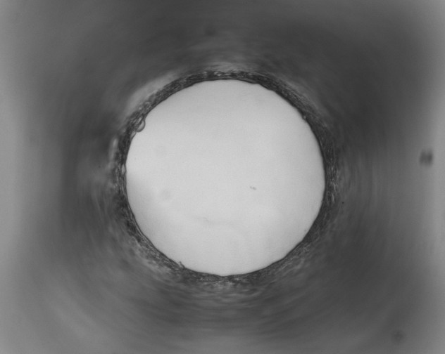 X0000114561207200911161216