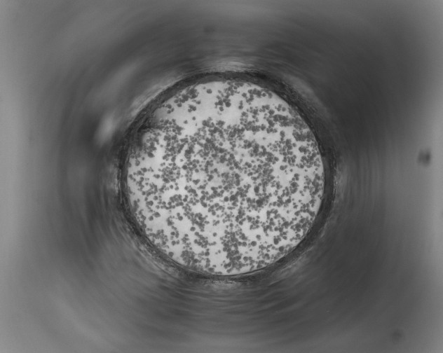 X0000114561209200911161216