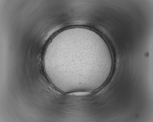 X0000114561210200911161216