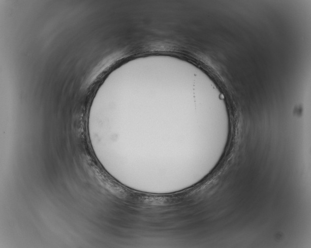 X0000114561211200911161216