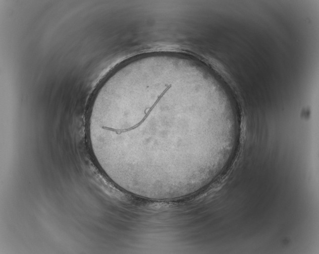 X0000114561212200911161216