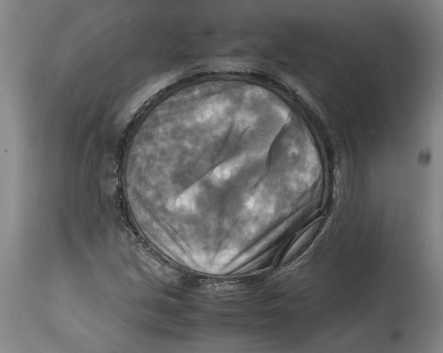 X0000114561213200911161216