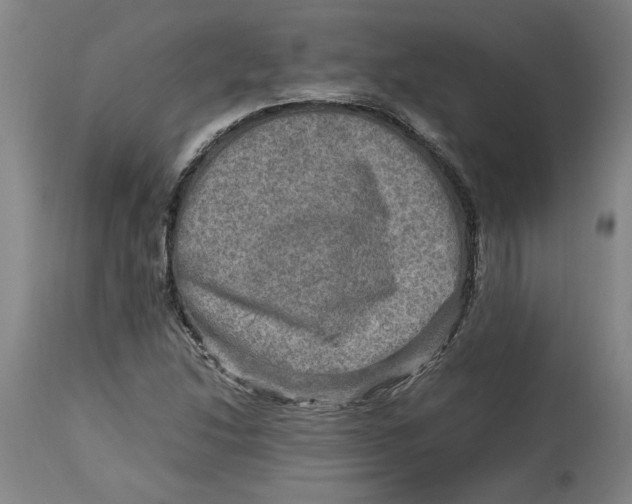 X0000114561214200911161216