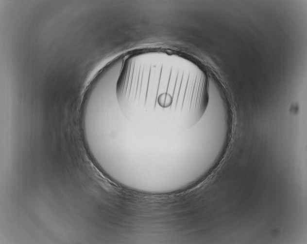 X0000114561216200911161216