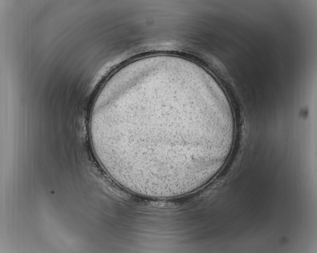 X0000114561218200911161216