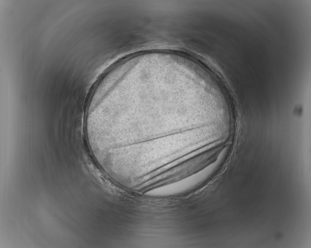 X0000114561220200911161216