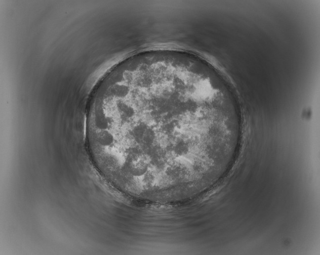 X0000114561221200911161216