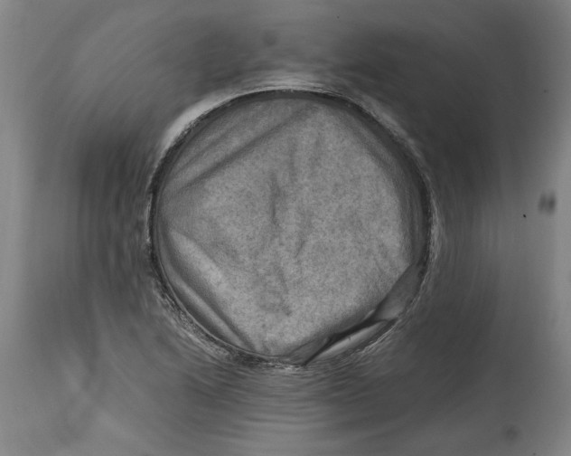 X0000114561222200911161216