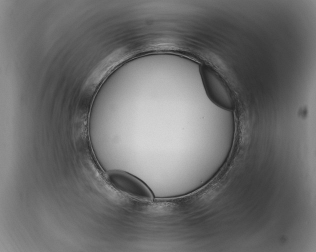 X0000114561225200911161216