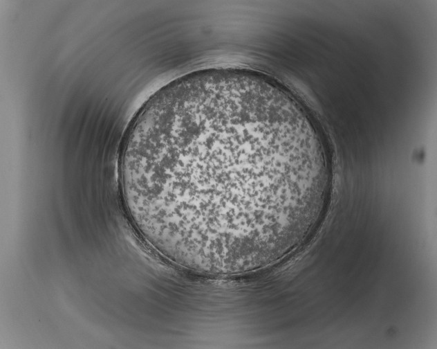 X0000114561226200911161216