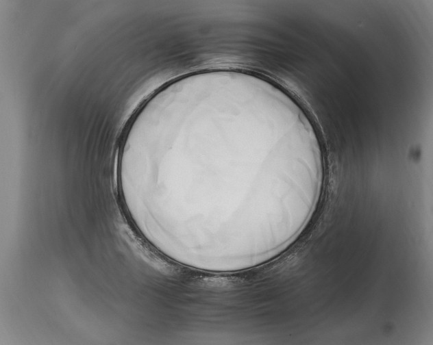 X0000114561227200911161216