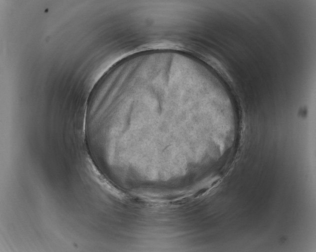 X0000114561228200911161216