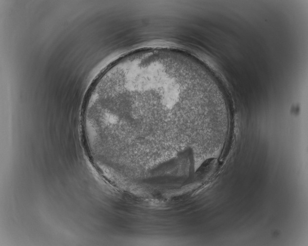 X0000114561229200911161216