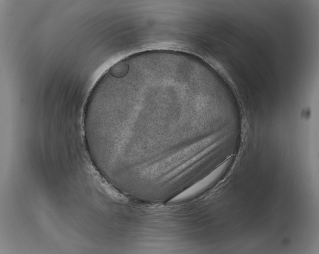 X0000114561230200911161216