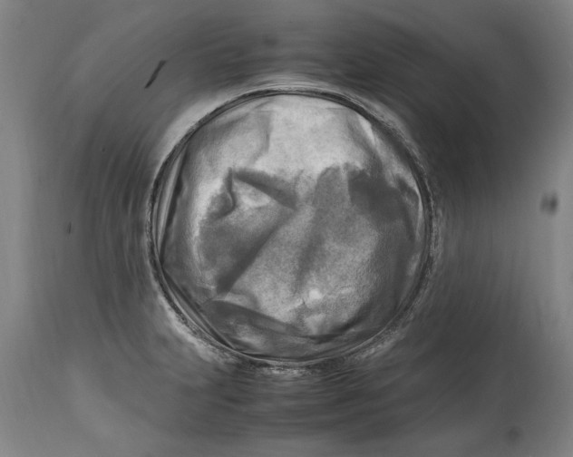 X0000114561231200911161216