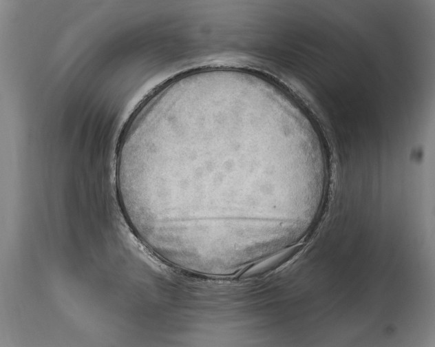 X0000114561232200911161216