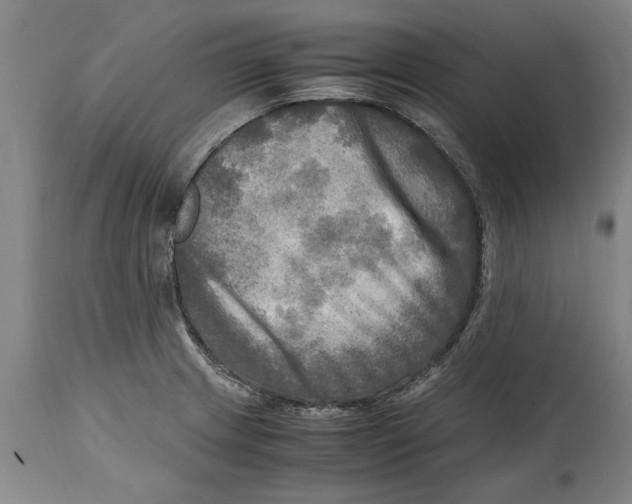 X0000114561233200911161216