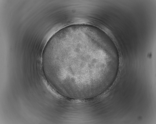 X0000114561234200911161216