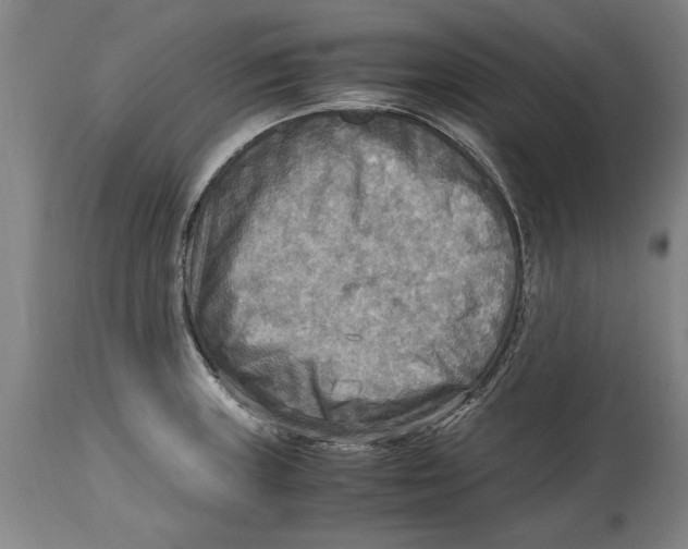 X0000114561235200911161216
