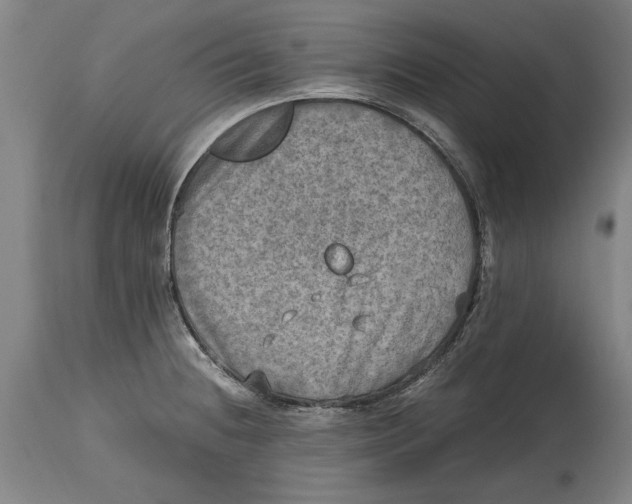 X0000114561236200911161216