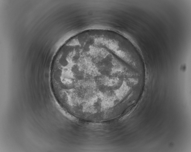 X0000114561237200911161216