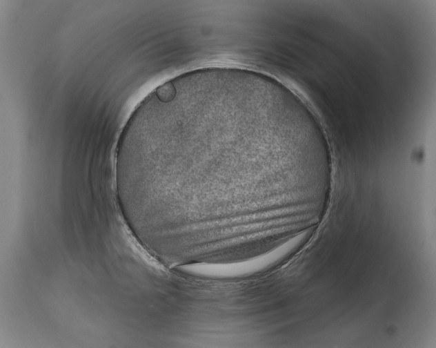 X0000114561238200911161216