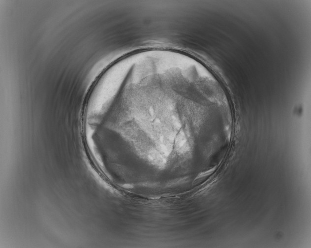 X0000114561239200911161216
