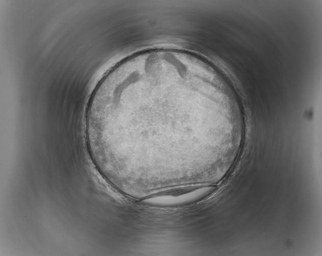 X0000114561240200911161216