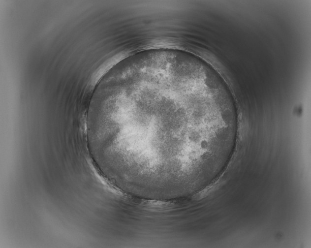 X0000114561241200911161216