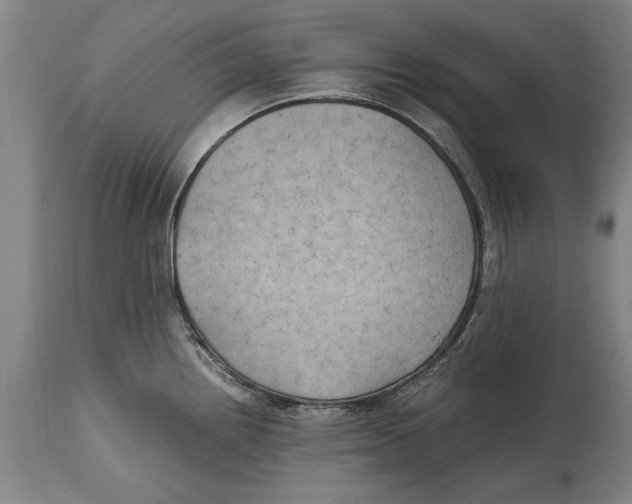 X0000114561242200911161216