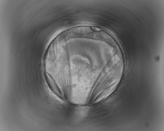 X0000114561243200911161216