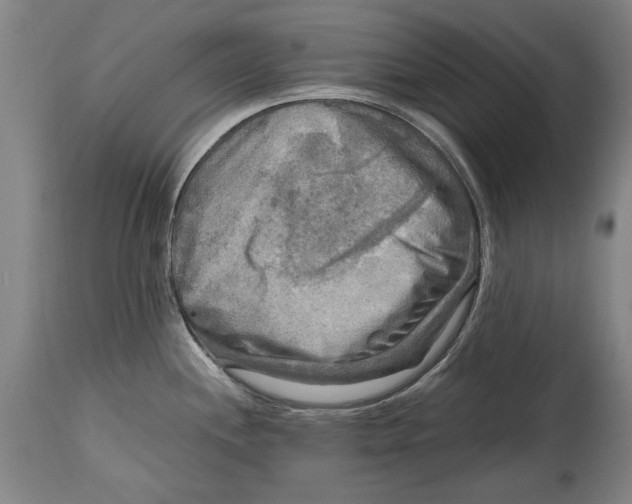 X0000114561244200911161216