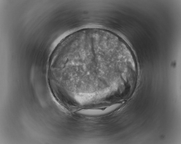 X0000114561245200911161216