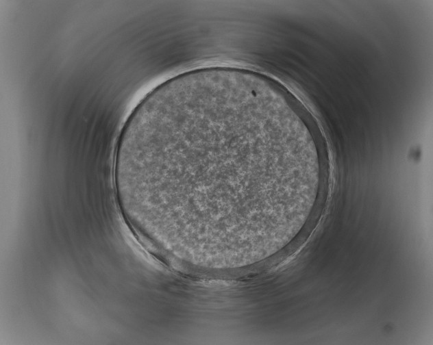 X0000114561246200911161216