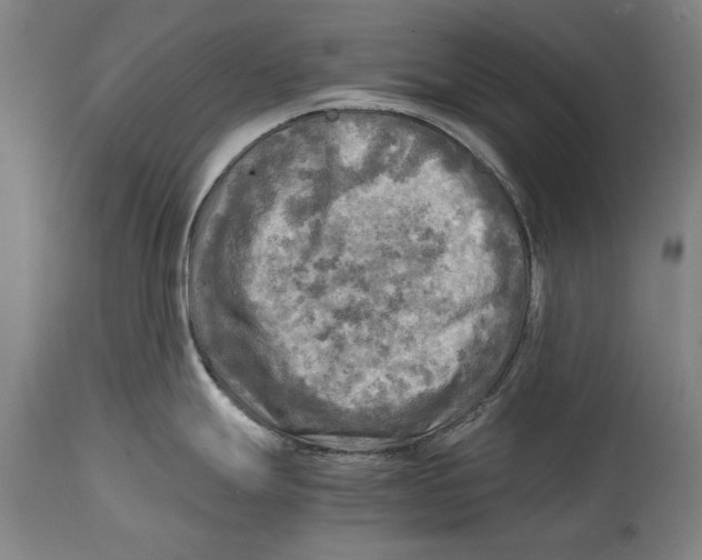 X0000114561247200911161216
