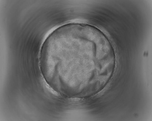 X0000114561248200911161216