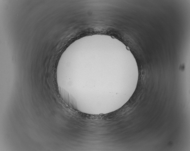 X0000114561249200911161215