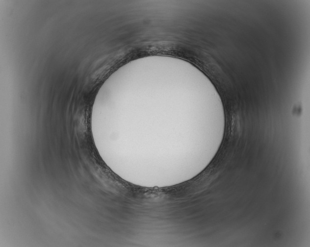 X0000114561250200911161215