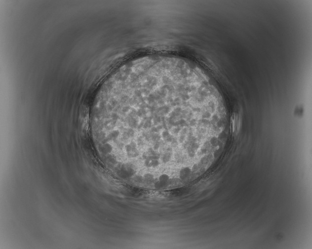 X0000114561251200911161215