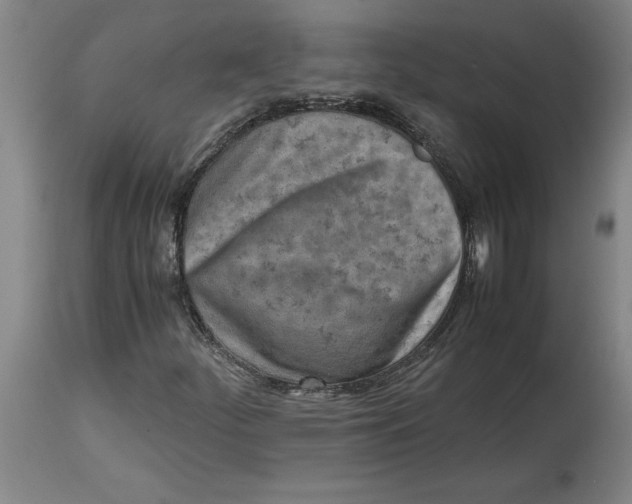 X0000114561252200911161215