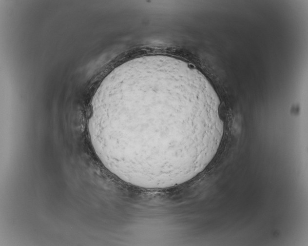 X0000114561253200911161215