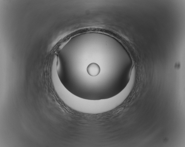 X0000114561255200911161215