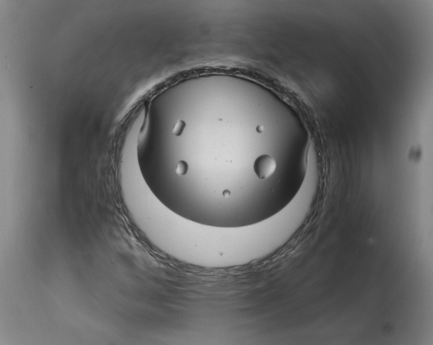 X0000114561256200911161215