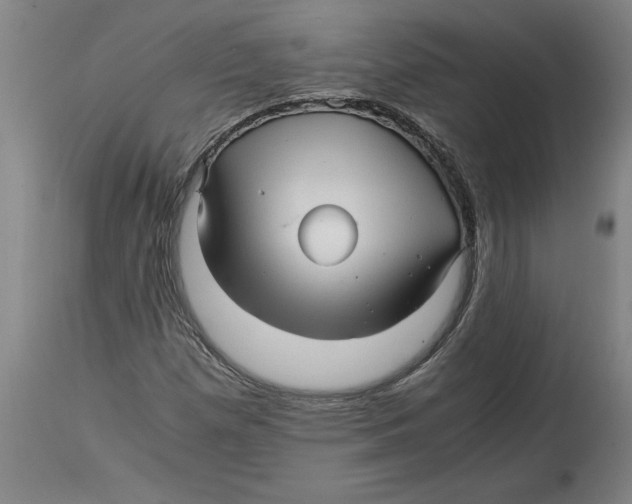 X0000114561257200911161215