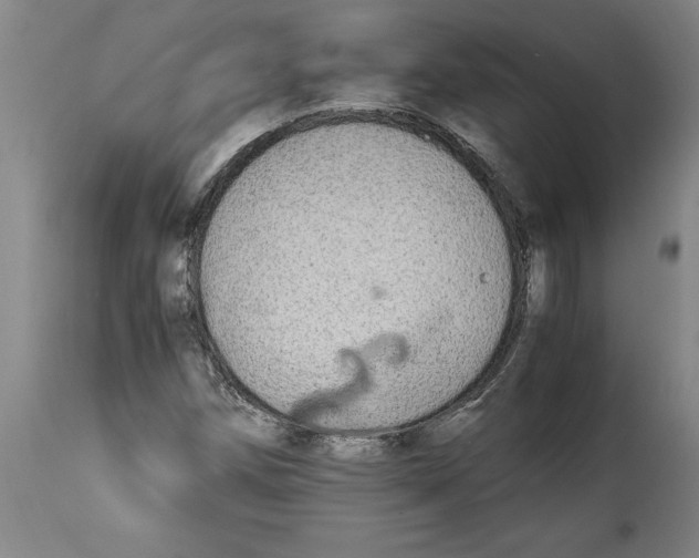 X0000114561258200911161215