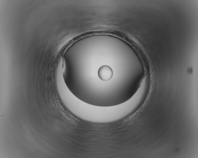 X0000114561259200911161215